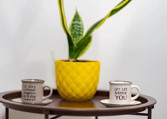 公寓 Lion's Cave No 1. 卡拉马塔